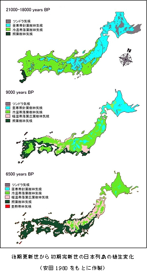 後期更新世から初期完新世の日本列島の植生変化